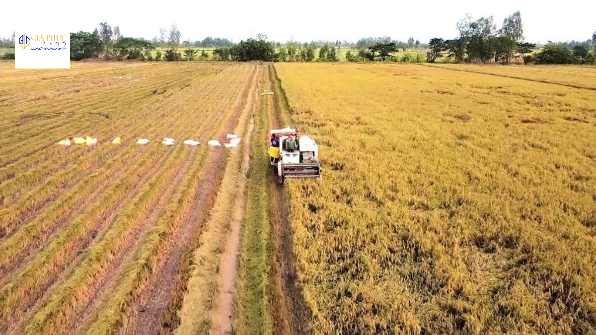 Nên tìm hiểu kỹ quy định chi phí tách thửa đất thổ cư